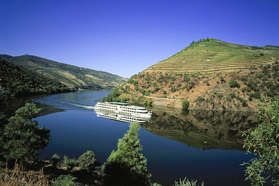 From Porto: Full-Day Douro Historical Tour - Why this Douro day trip works from Porto