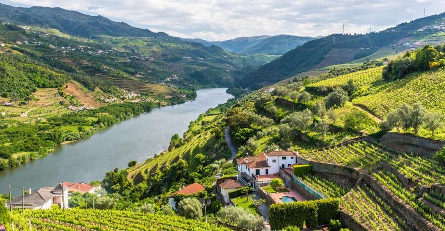 From Porto: Full-Day Douro Historical Tour - The road into the Douro Valley