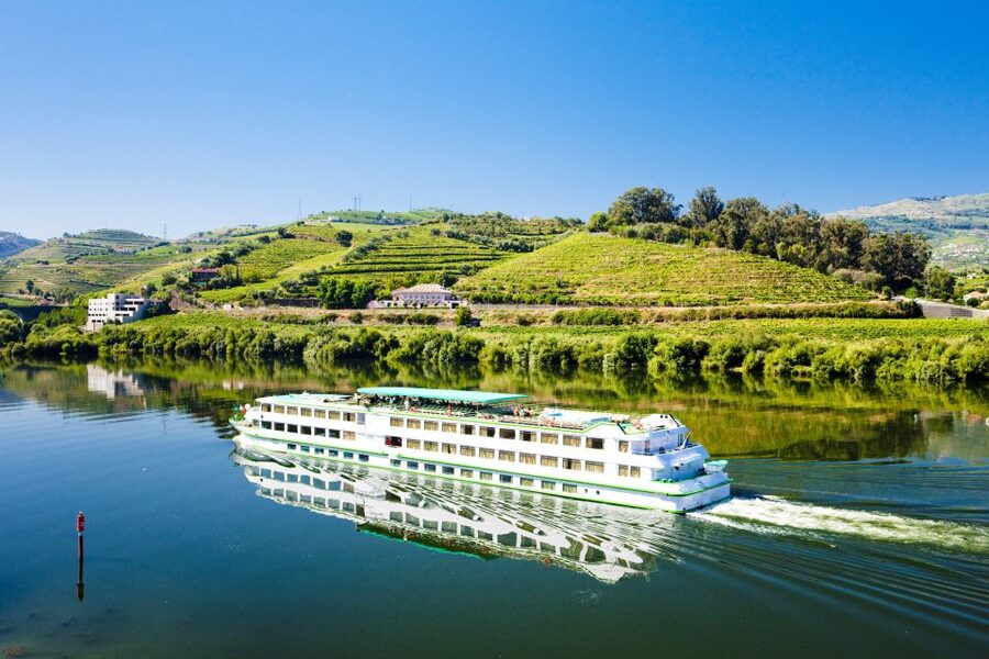 From Porto: Full-Day Douro Historical Tour - Lunch at a local restaurant