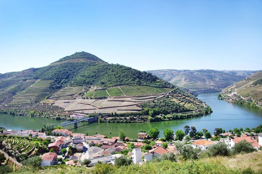 From Porto: Full-Day Douro Historical Tour - Port tasting in the Douro wine country