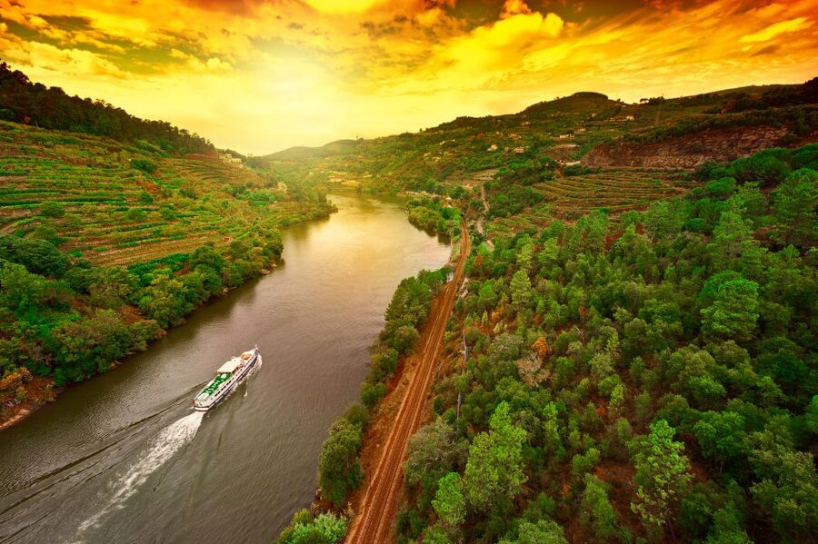 From Porto: Full-Day Douro Historical Tour - Pinhão and the scenic river cruise