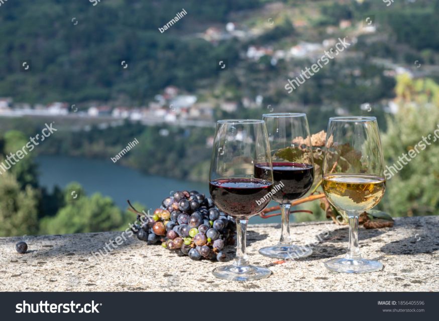 From Porto: Full-Day Douro Historical Tour - Amarante and the Monastery of Saint Gonçalo