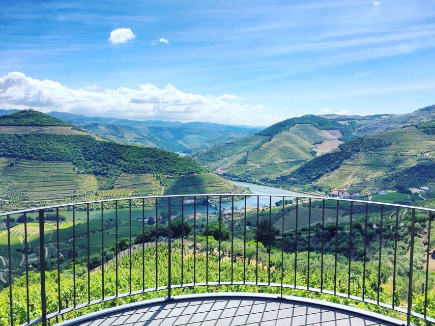 From Porto: Full-Day Douro Valley Trip - Guides make a real difference