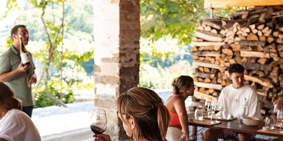 From Porto: Full-Day Douro Valley Trip - The first winery visit explains how port is made