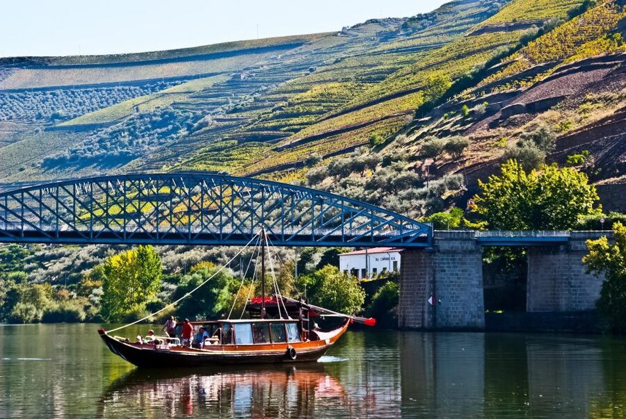 From Porto: Full-Day Douro Valley Trip - The Pinhão boat cruise is the day’s quiet high point