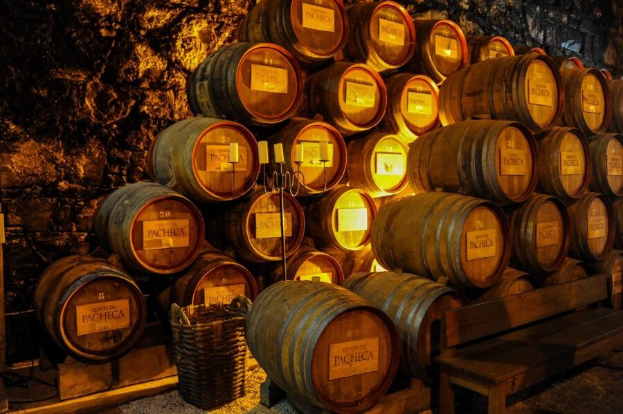 From Porto: Full-Day Douro Valley Trip - The second winery shows another side of Douro production