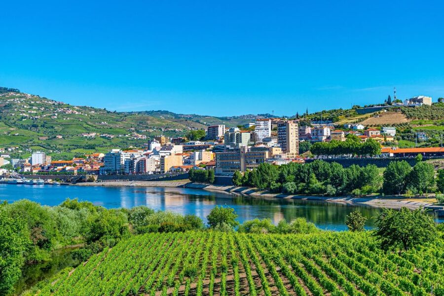 From Porto: Full-Day Douro Valley Trip - Final viewpoints near Pinhão and the return to Porto