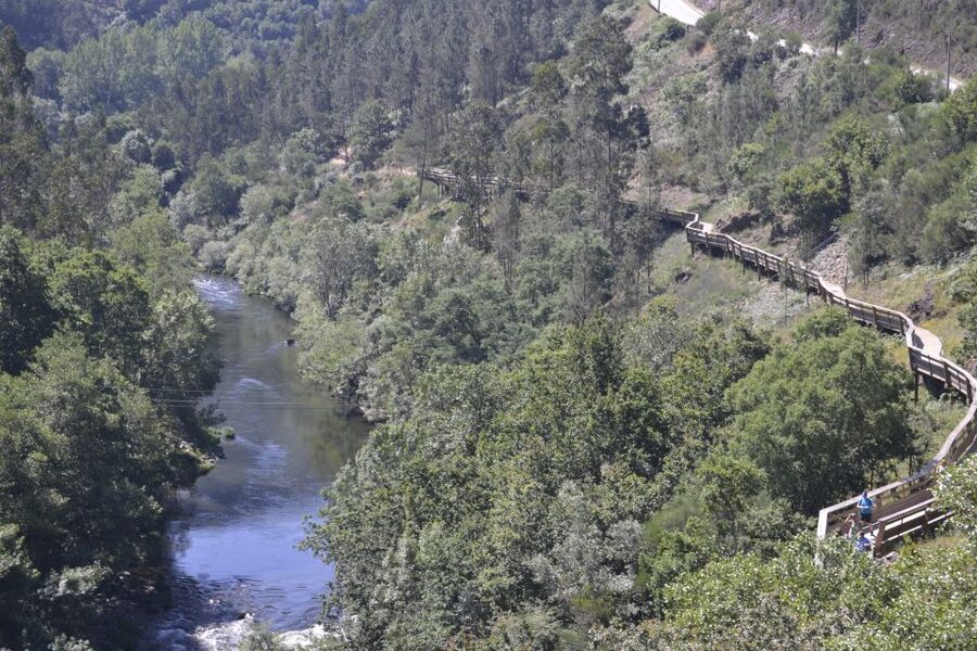 From Porto: Full-Day Paiva Walkways Tour - Key Points Before You Book