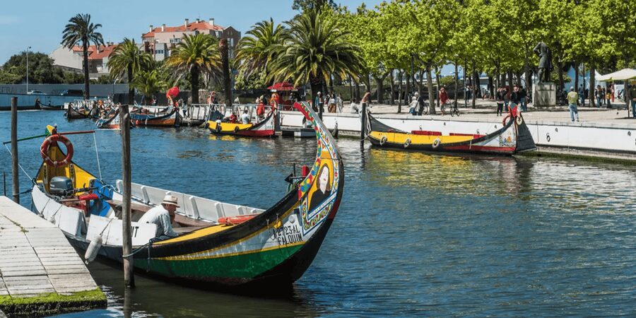 From Porto: Full-Day Trip to Coimbra & Aveiro with Boat Ride - At a glance: five useful things to know
