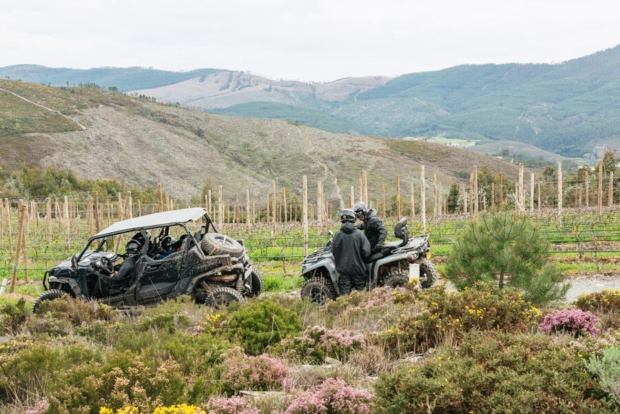 From Porto: Off-Road Buggy Adventure - Why this buggy trip is different from a normal Porto day out