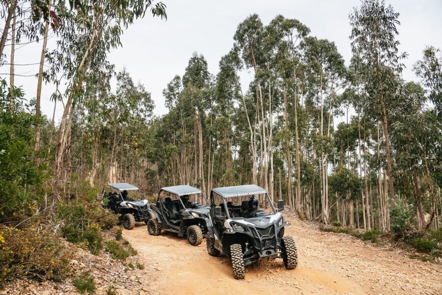 From Porto: Off-Road Buggy Adventure - The first viewpoint and the start of the rough tracks
