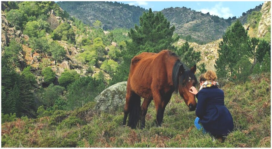 From Porto: Peneda-Gerês National Park Tour with Lunch - The second walk adds variety to the afternoon