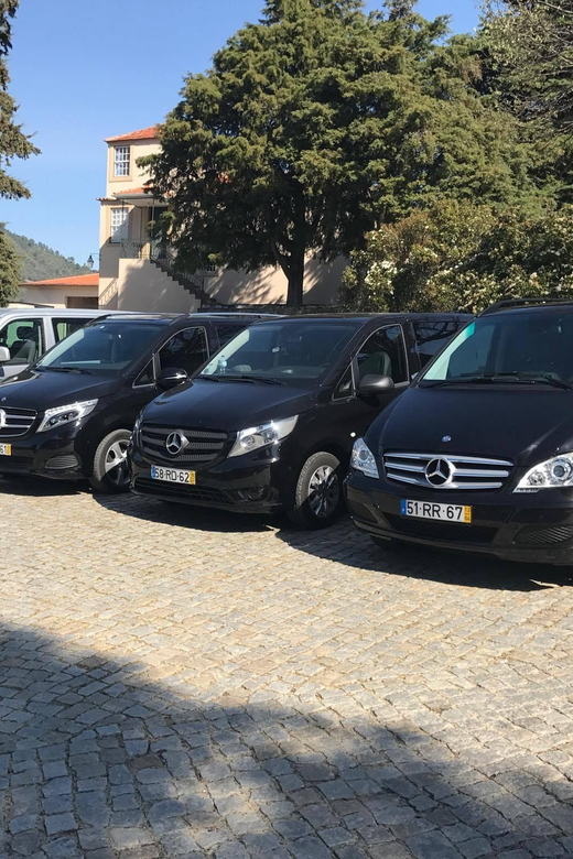 From Porto: Premium Douro Valley Small-Group Wine Tour - Why this Douro tour works well from Porto
