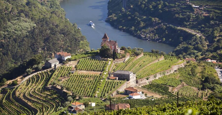 From Porto: Premium Douro Valley Small-Group Wine Tour - First winery visit: how Douro wine is made