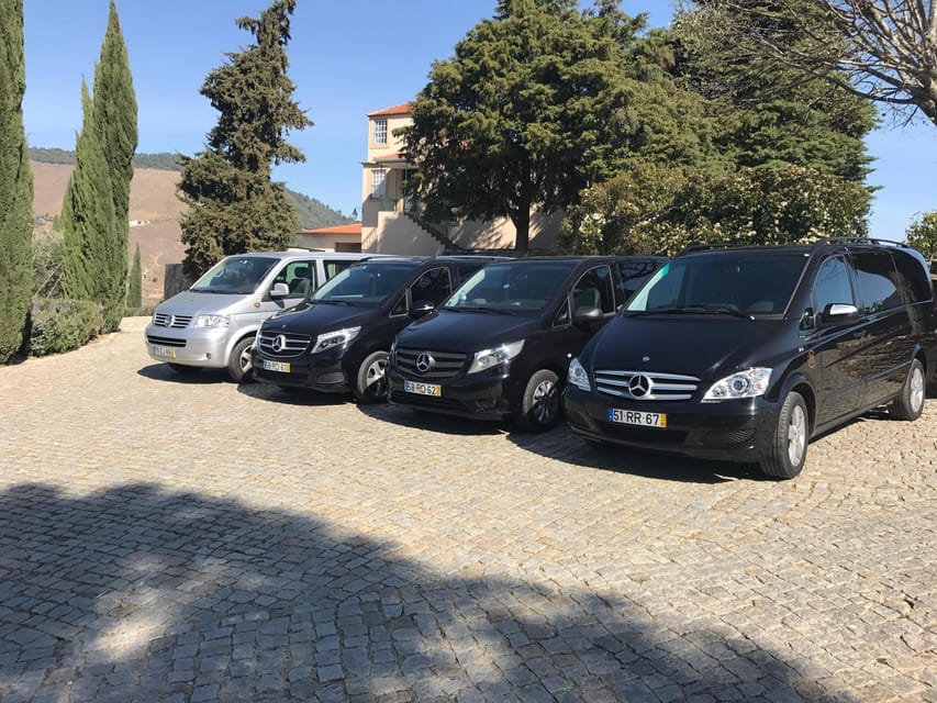 From Porto: Premium Douro Valley Small-Group Wine Tour - Premium lunch with a theatrical wine tradition