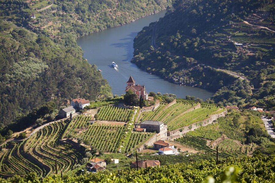 From Porto: Premium Douro Valley Small-Group Wine Tour - Who should book this experience