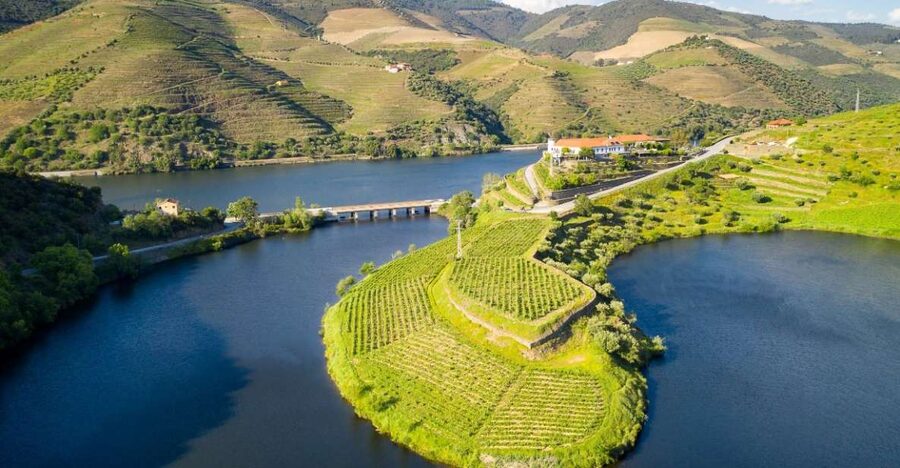 From Porto: Private Douro Valley Tour with Booking Service - Why the Douro Valley deserves a full day from Porto