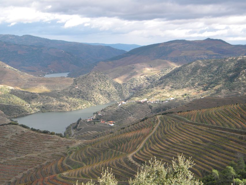 From Porto: Private Douro Valley Tour with Booking Service - Wine tasting without losing control of the day
