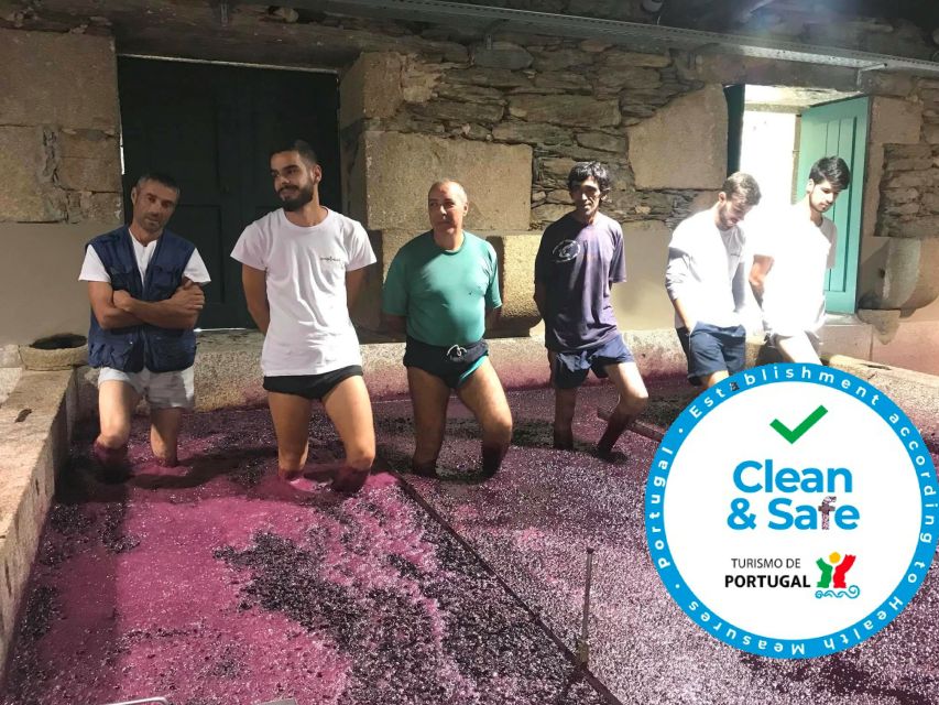 From Porto: Private Douro Valley Tour with Cruise and Wine - Why the guide matters here