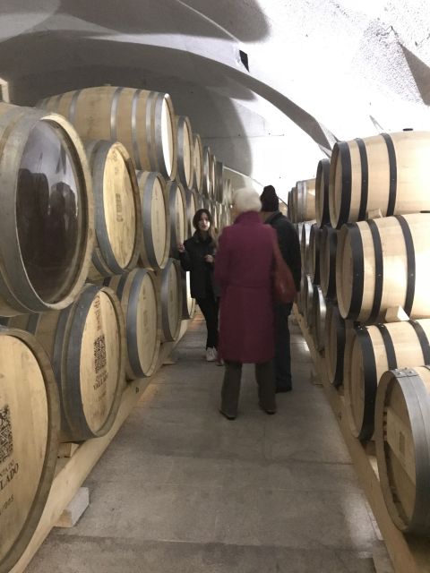 From Porto: Private Douro Valley Tour with Cruise and Wine - Who should choose this day trip?