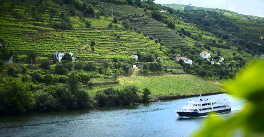 From Porto: Régua to Porto River Cruise with Lunch on Board - Is $84 good value?