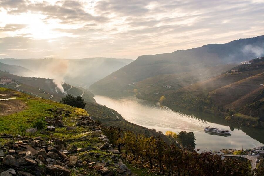 From Porto: Régua to Porto River Cruise with Lunch on Board - Régua and the Douro wine valley