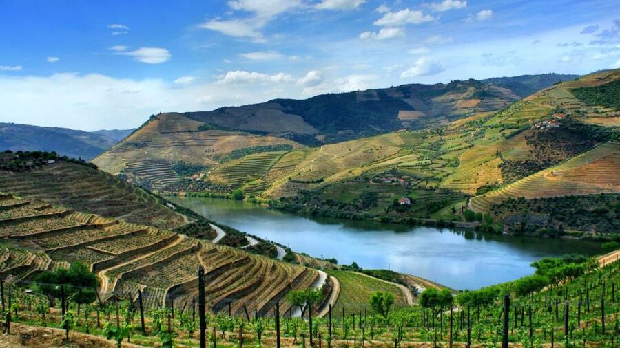From Porto: Régua to Porto River Cruise with Lunch on Board - Starting in Porto: three meeting point options