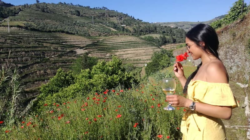 From Porto: Tastings at 2 Wineries, Chef's Lunch & Boat Tour - Key points at a glance