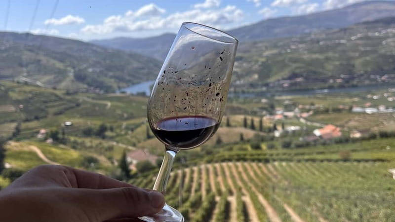 From Porto: Tastings at 2 Wineries, Chef's Lunch & Boat Tour - The second winery and the fire-opened Vintage Port