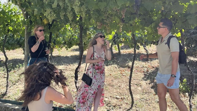 From Porto: Tastings at 2 Wineries, Chef's Lunch & Boat Tour - Who should book this experience?