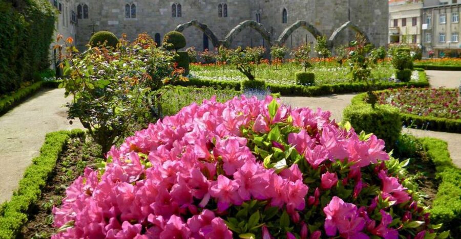 From Porto: Wonders of Braga & Guimaraes Private Day Trip - Braga Cathedral and the city’s oldest center