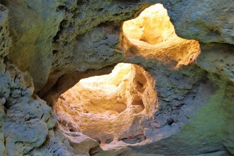From Vilamoura: 2.5-Hour Benagil Cave and Dolphins Boat Tour - FAQ