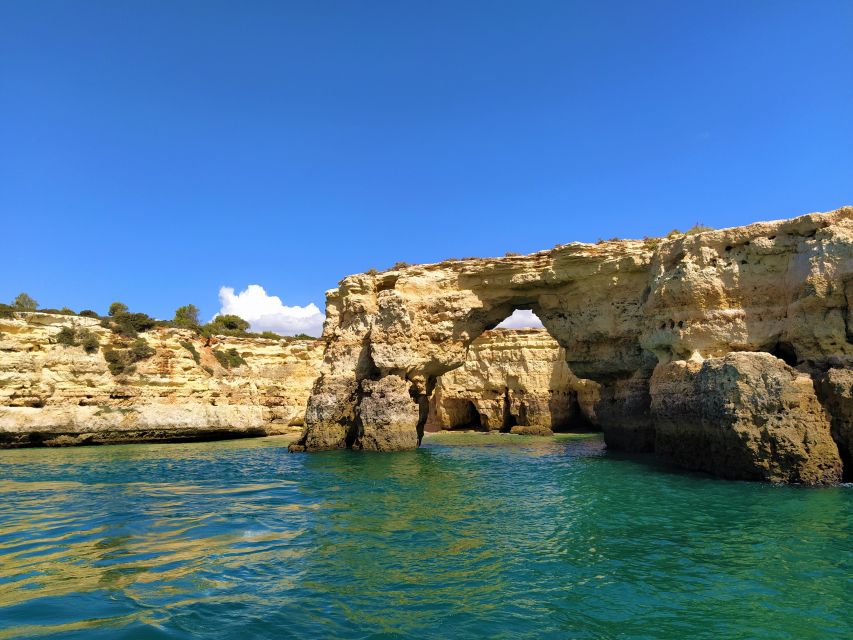 From Vilamoura: 2.5-Hour Benagil Cave and Dolphins Boat Tour - Is the Vilamoura to Benagil boat tour worth booking?