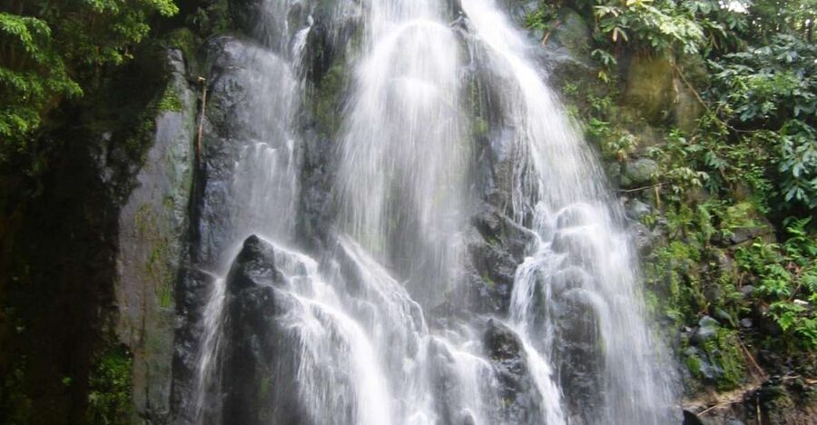 Full-Day 4x4 Nordeste Azores Tour from Ponta Delgada - Five Things to Know Before You Book