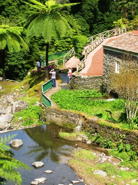 Full-Day 4x4 Nordeste Azores Tour from Ponta Delgada - Reaching Pico Bartolomeu