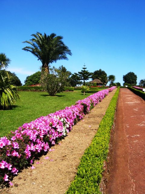 Full-Day 4x4 Nordeste Azores Tour from Ponta Delgada - Shared, Small Group, or Private?