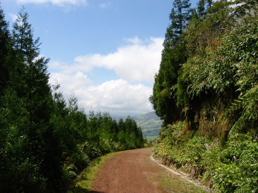Full-Day 4x4 Nordeste Azores Tour from Ponta Delgada - Starting Along the Northern Coast