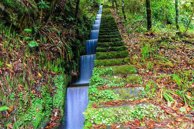 Full Day East of Madeira Tour - Ribeiro Frio, trout, and the Balcões levada