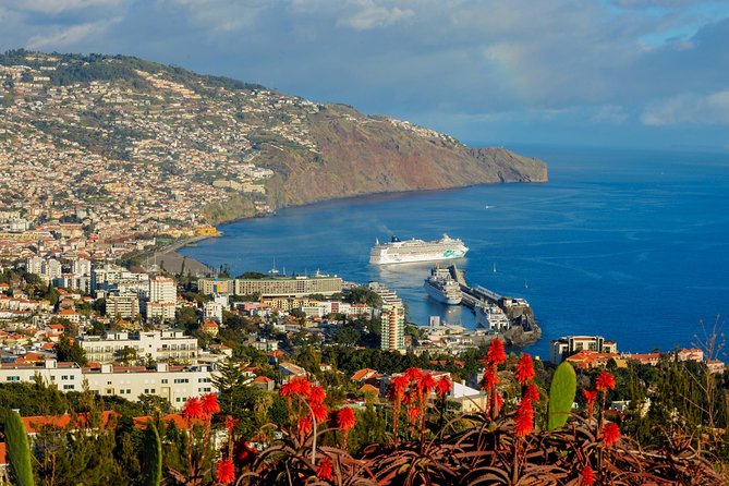 Full Day East of Madeira Tour - Portela and the rural interior near Santo da Serra