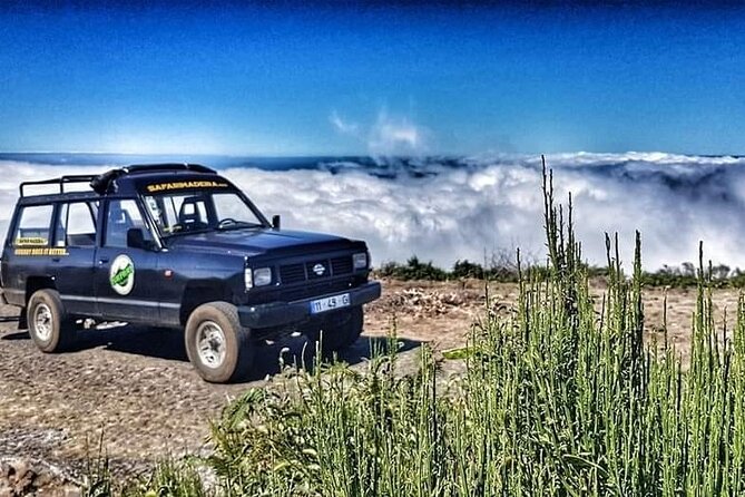Full Day Jeep Safari East - Pico do Areeiro - Santana - Ponta de são Lourenço - Why this eastern Madeira route works so well