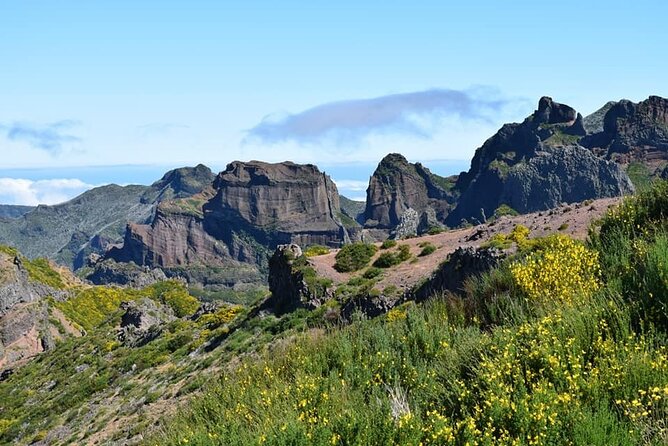 Full Day Jeep Safari East - Pico do Areeiro - Santana - Ponta de são Lourenço - Price, timing, and who gets the best value