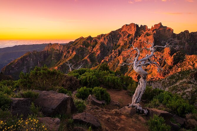 Full Day Madeira Island Tour - Open Roof - What the $74.98 price really buys you