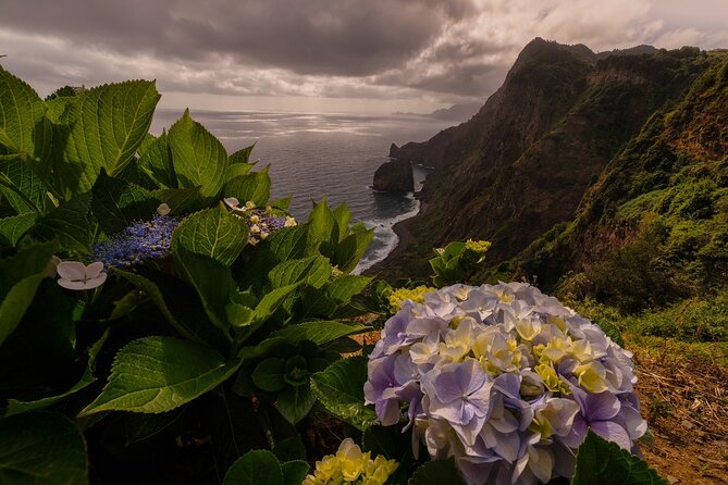 Full Day Madeira Island Tour - Open Roof - Poça das Lesmas shows Madeira’s volcanic side
