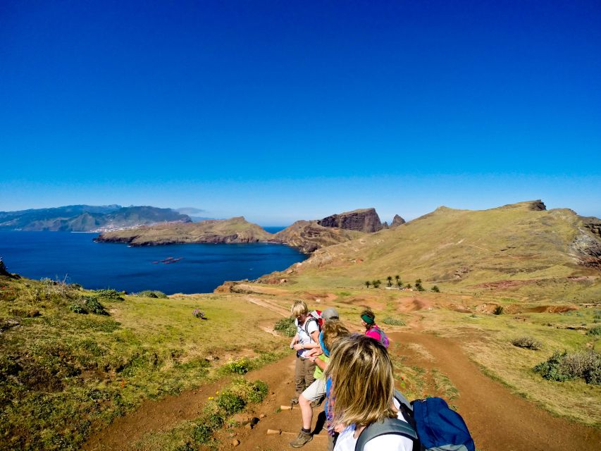 Full Day Ponta de São Lourenço - Natural Reserve - Plants and seabirds along the eastern peninsula