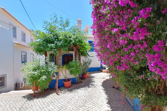 Full Day Private Tour in Western Algarve - Lagos market, lunch, and the old town