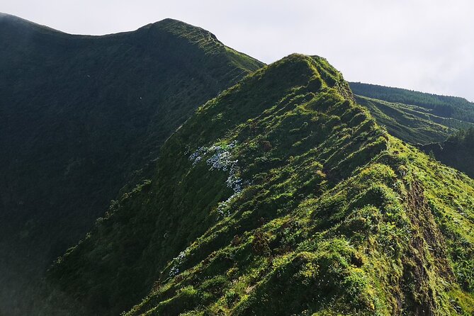 Full-Day Private Tour of Faial - Capelinhos, where Faial grew