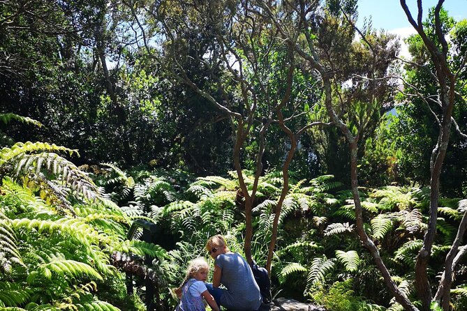 Full-Day Private Tour of Faial - Ribeirinha’s earthquake memorials