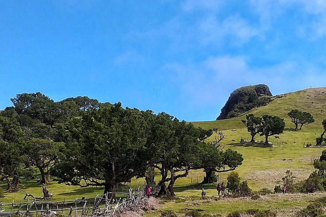 Full-Day Small Group Jeep Safari Tour from Funchal - What is included, and what is not