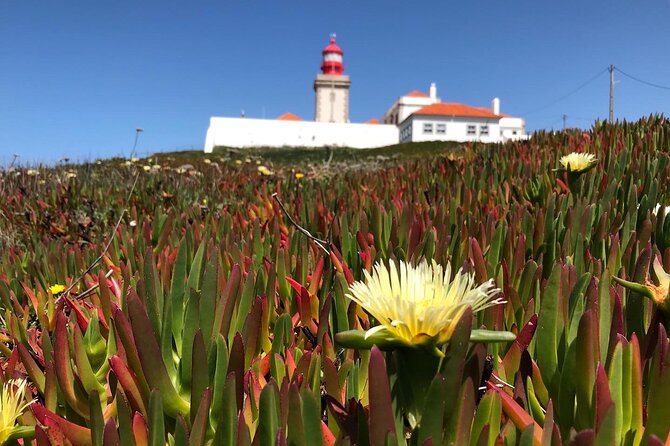 Full Day Tour: Sintra, Pena Palace, Cabo da Roca, Cascais - Physical effort, weather, and who should book