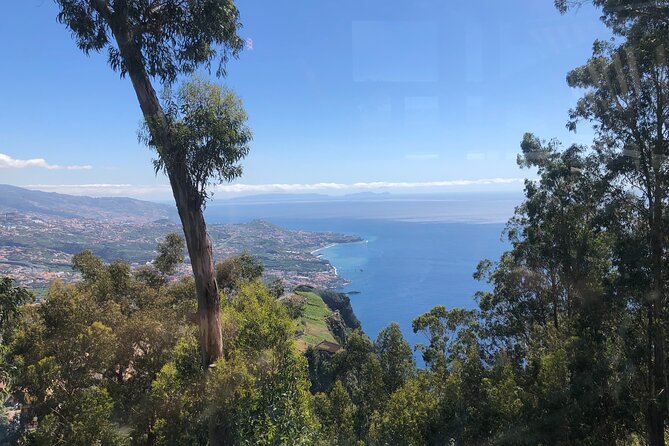 Full day West Adventure Jeep Tour in Madeira Portugal - Fanal Forest is a short but memorable final stop
